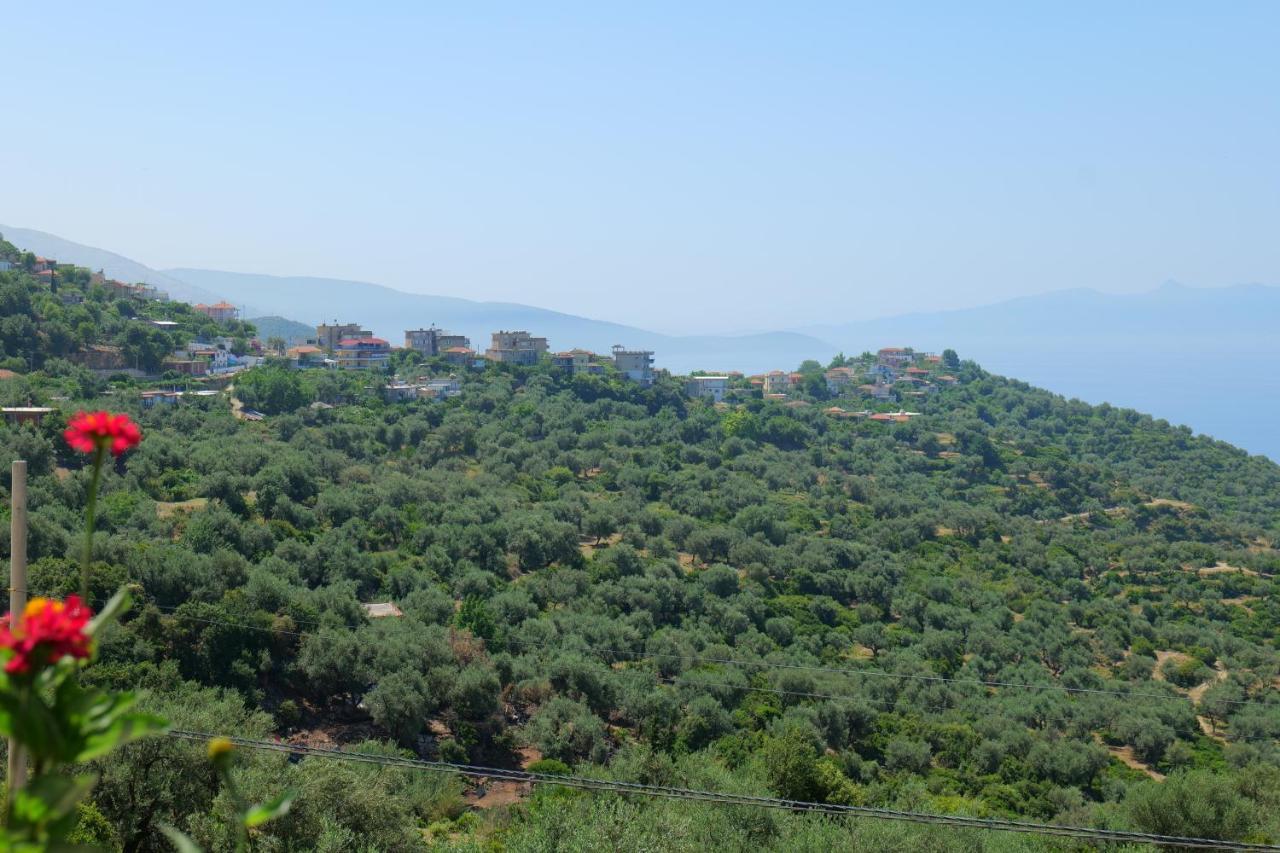 Bed and Breakfast Vila Panorama Piqeras Exterior foto