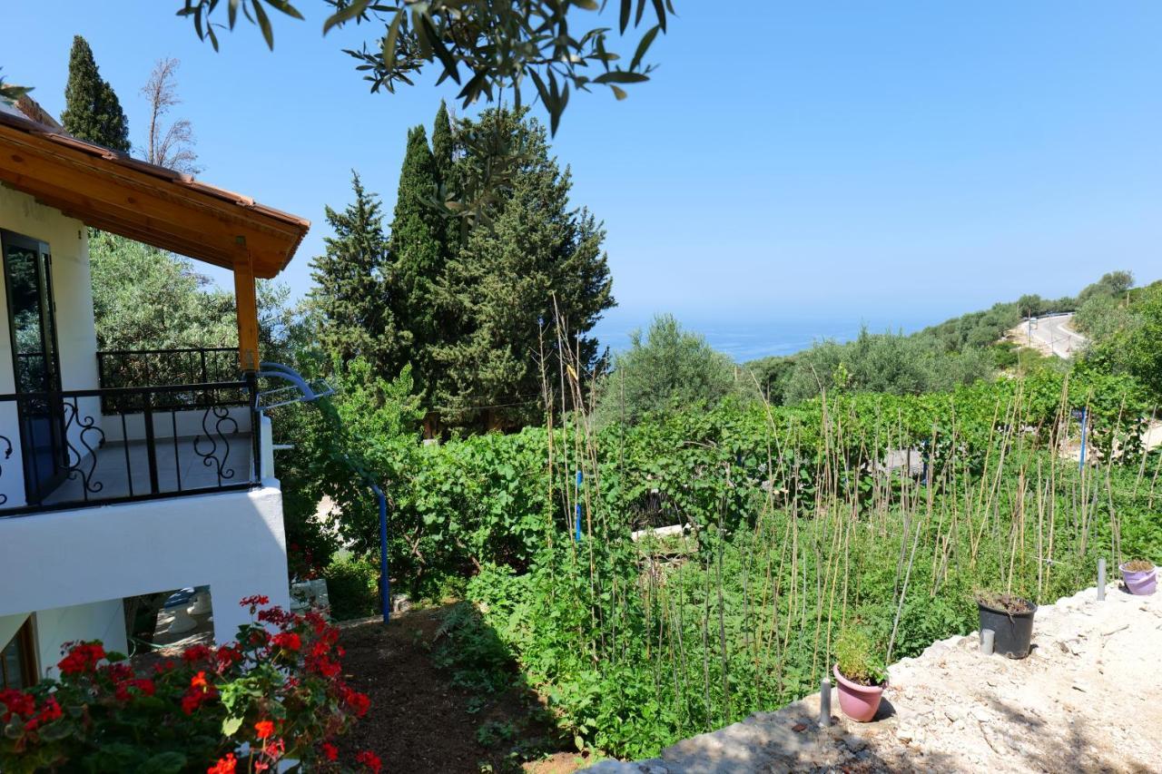 Bed and Breakfast Vila Panorama Piqeras Exterior foto