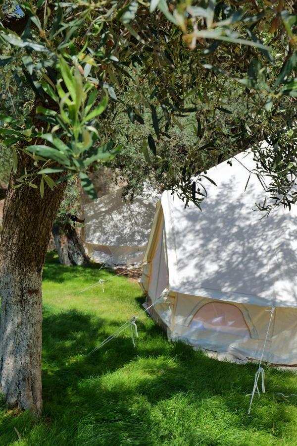 Bed and Breakfast Vila Panorama Piqeras Exterior foto