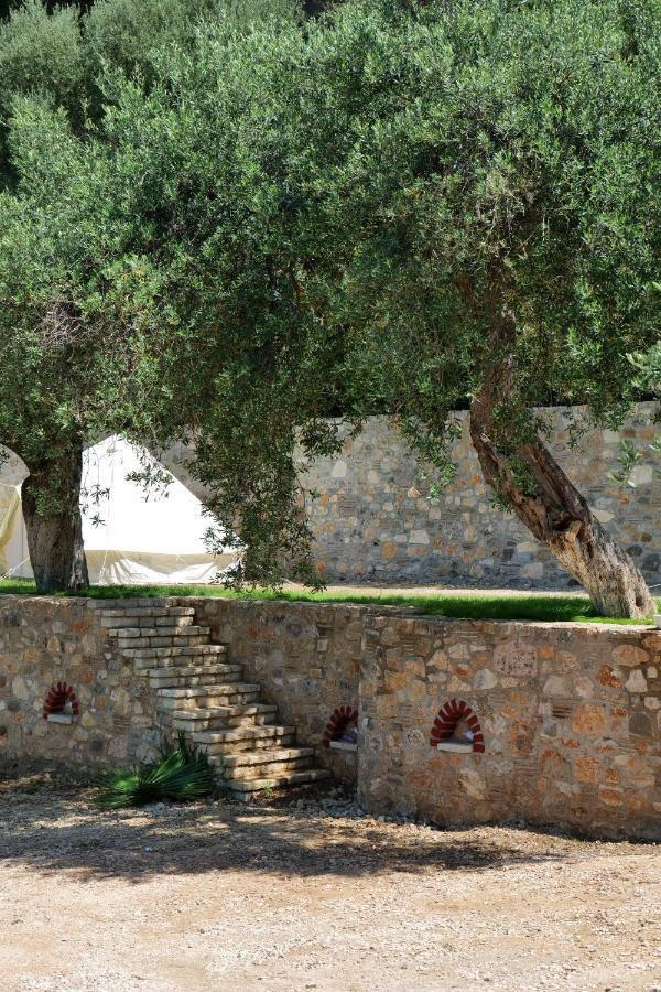 Bed and Breakfast Vila Panorama Piqeras Exterior foto