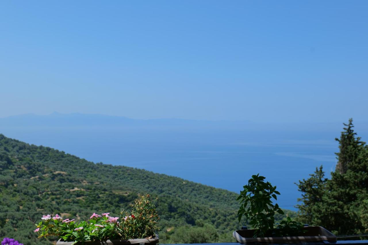 Bed and Breakfast Vila Panorama Piqeras Exterior foto